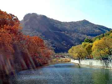 新澳天天开奖资料大全旅游团，圣力宝胶囊